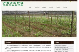 瀘西浩宏種植農(nóng)民專(zhuān)業(yè)合作社