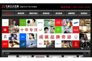 中娛文化傳播有限公司